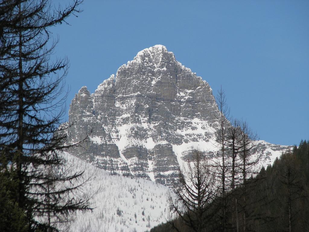 Glacier Haven Inn Pinnacle Exterior photo